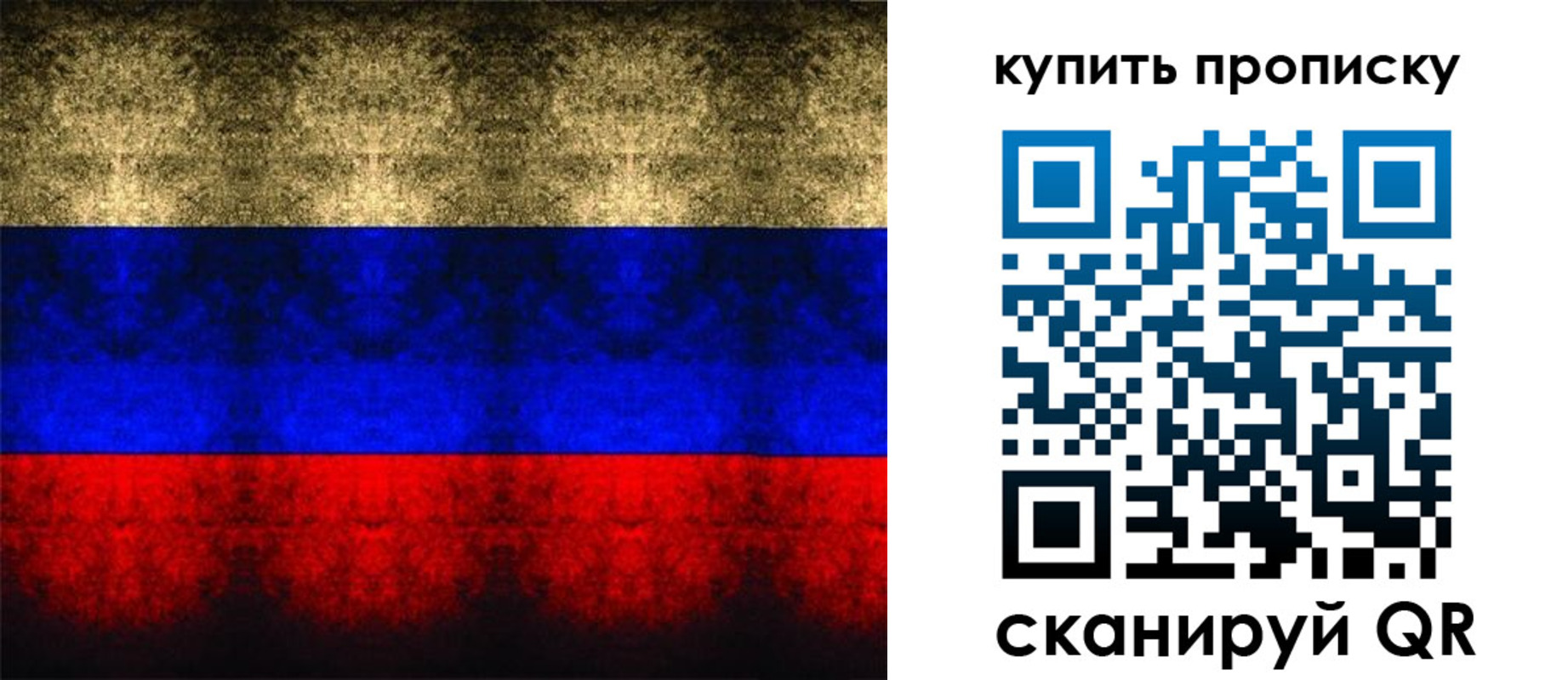 прописка в Курчатове